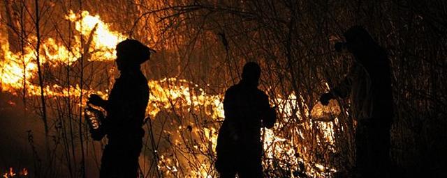 Халатность магаданских чиновников во время лесных пожаров стала основанием для возбуждения уголовного дела