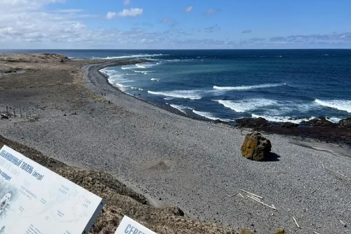 В преддверии сезона на Командорах привели в порядок лежбище морских котиков