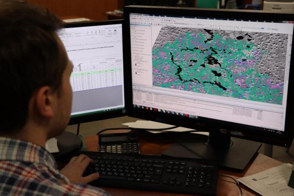 К мониторингу лесов в режиме реального времени подключился ИИ