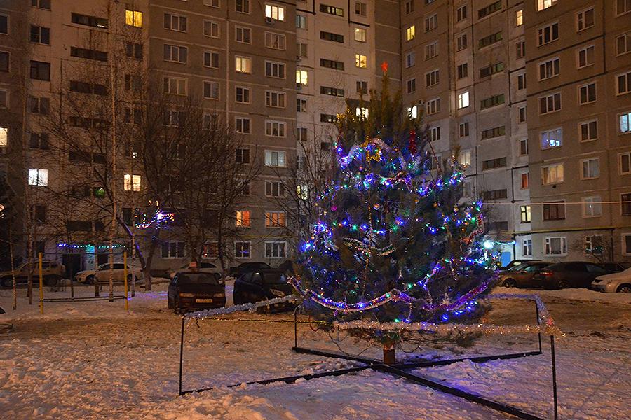 Жителей Красногорска приглашают к участию в голосовании за самую ГУСТую елку Подмосковья