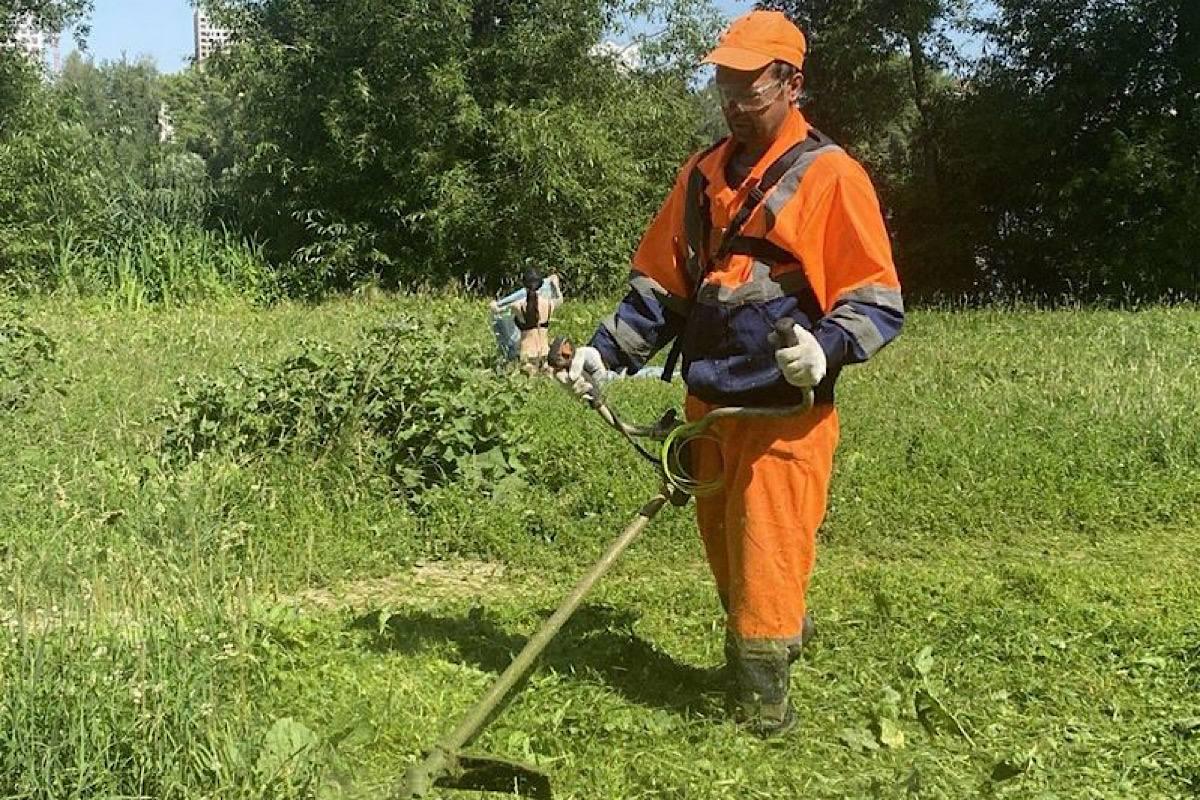 В городском округе Пушкинский оперативно скосили траву на пешеходной дорожке после жалоб жителей