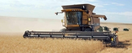 Аграрии Крыма намолотили более 2 миллионов тонн зерна