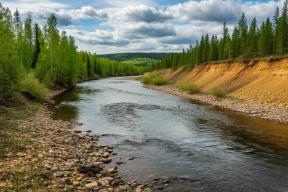 Золотодобытчиков в Тисульском округе Кузбасса наказали за нарушение водного законодательства