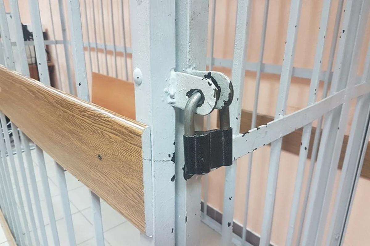 Мать из Жуковки отправили в колонию на 7 месяцев за миллионный долг по алиментам