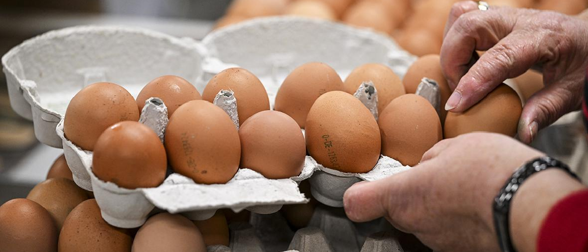 В магазинах Ростовской области вместо турецких появились дешевые «невидимые» яйца