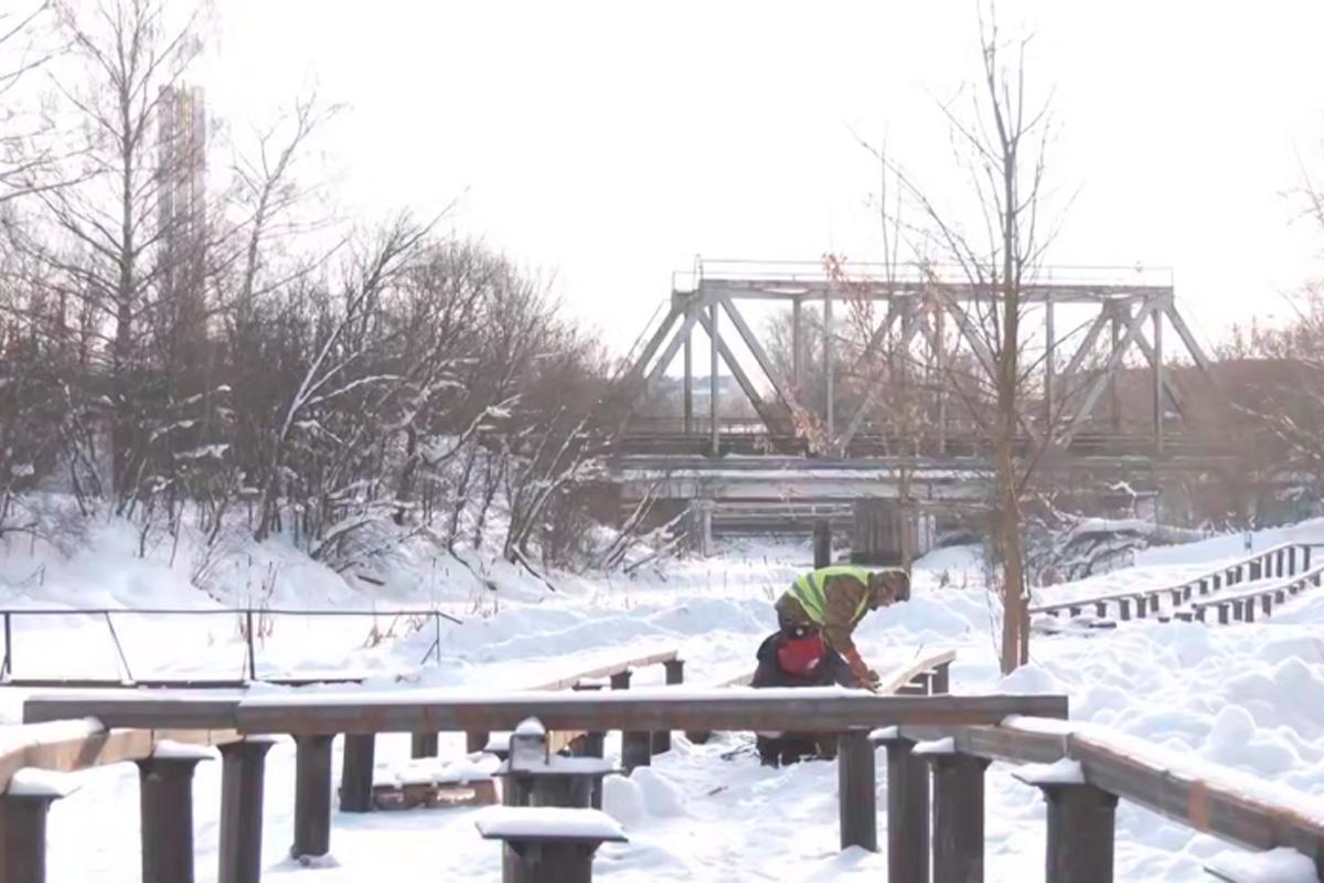 В Ивантеевке Городского округа Пушкинский началось благоустройство зоны отдыха на берегу реки Уча