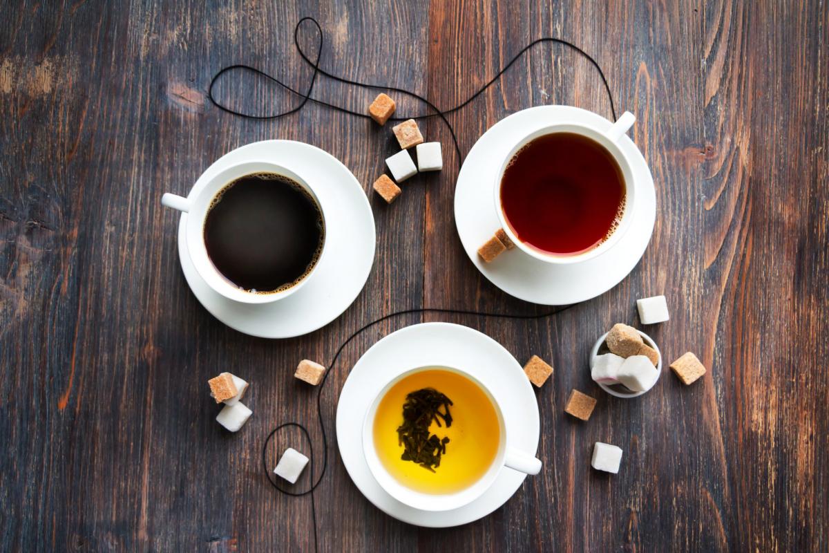 Эндокринолог Калошина рассказала, почему по утрам лучше пить чай, а не кофе