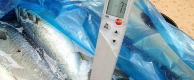 В Красноярске изъяли 68 тонн размороженной рыбы из Санкт-Петебурга