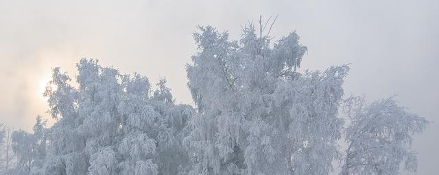 В Пермском крае на текущей неделе ожидаются морозы до -35 градусов