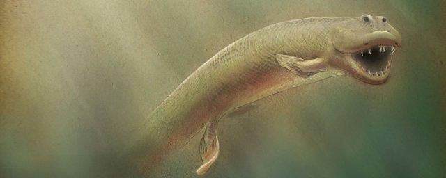 Палеонтологи нашли «потерянное звено» между рыбами и амфибиями
