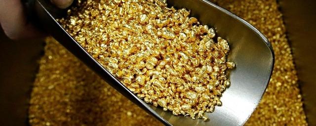 В 2023 году в Магаданской области планируют добыть до 55 тонн золота