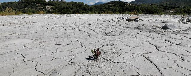 Такого не было веками: в Европе бушует страшная засуха
