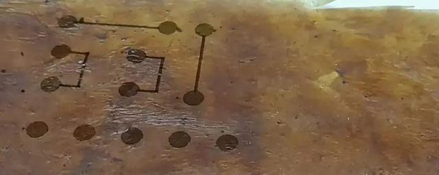 Чайный гриб предлагают использовать для создания электроники