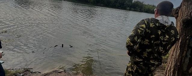В Казани 15-летняя школьница утонула после того, как на нее с тарзанки упал парень