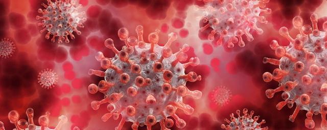 В Магаданской области выявили 34 новых случая коронавируса