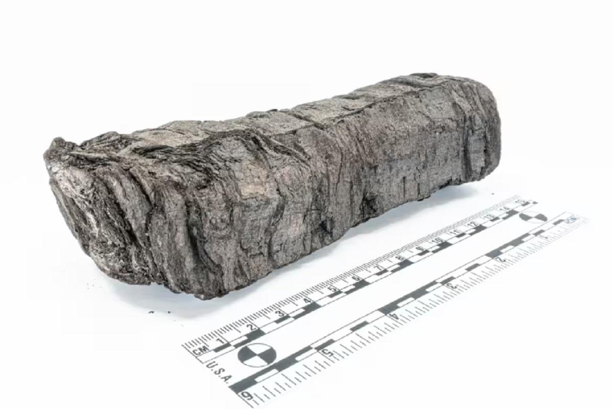 Ученые расшифровали свиток, уцелевший при извержении Везувия 2 000 лет назад