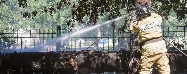 В Омской области за сутки произошло 22 пожара из-за возгораний тополиного пуха