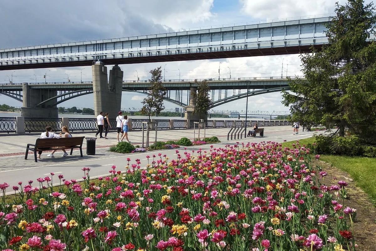 В Новосибирске обсудили передовой опыт создания водно-зеленого каркаса города