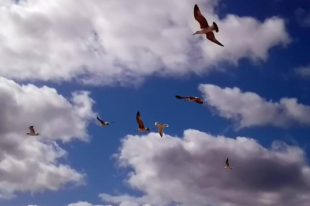 Власти Саранска успокоили жителей из-за громких звуков в небе