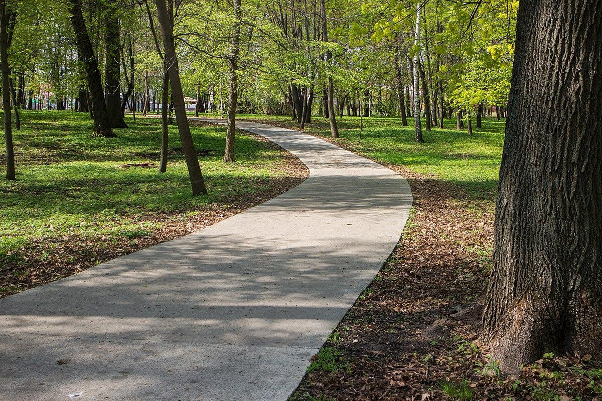 Ахлебиновская роща Тамбова участвует в конкурсе «Город в деталях. Живое наследие»