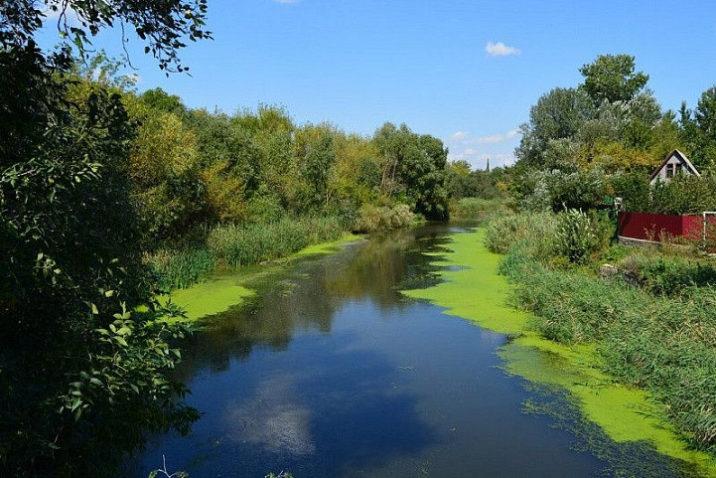 Жителей попросили бережнее относиться к памятнику природы в Раменском округе