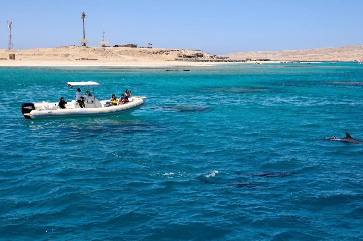 В египетской Хургаде на рынке появилась необычная рыба-крокодил