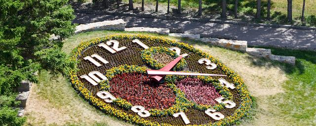 В Новосибирске снова появятся цветочные часы