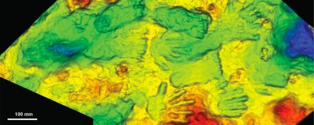 Ученые Университета Гуанчжоу нашли на Тибетском плато древние отпечатки детских рук и ног