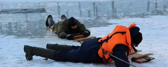 В Псковском районе зафиксированы случаи провалов под лед