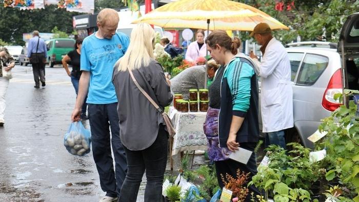 Жители Брянска могут купить картофель по 10 рублей за килограмм