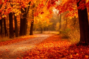 В Ярославскую область после дождей вернется жаркая погода