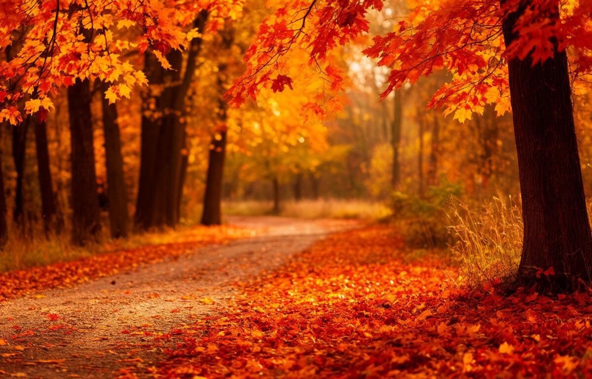 В Ярославскую область после дождей вернется жаркая погода