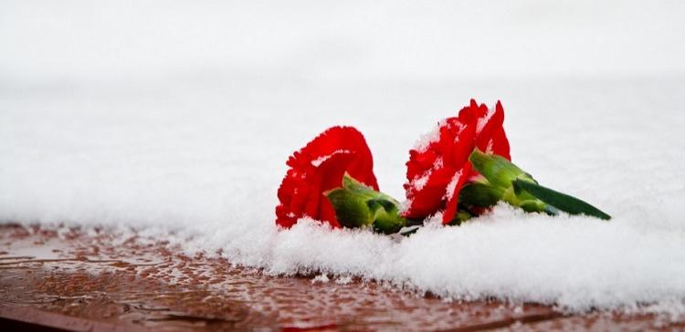 В Волгограде 2 февраля пройдет акция «Гвоздика на снегу»