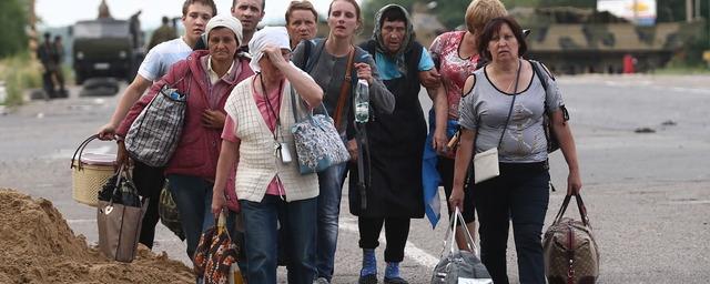 Mysl Polska: Многие украинские беженцы едут в Польшу ради наживы