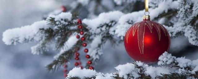 В хабаровских школах зимние каникулы продлятся по 10 января