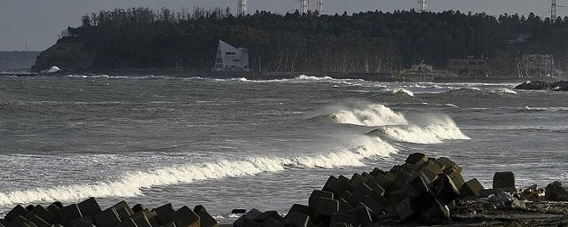 Сибирские ученые создали карту угроз возникновения цунами