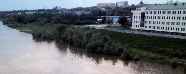 В Омске в реке Омь обнаружили превышение опасных веществ