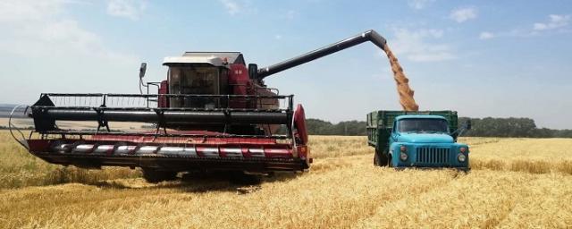 Аграрии Приангарья собрали 217500 тонн зерна и зернобобовых