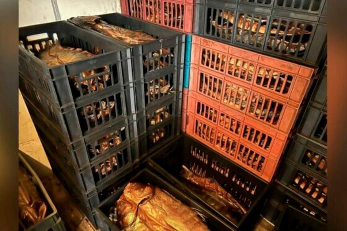 На Кубани изъяли десятки тонн некачественной рыбы у частных предпринимателей