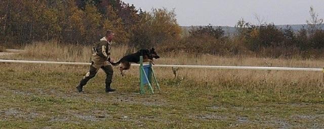 В Южно-Сахалинске наградили лучшего кинолога и служебную собаку