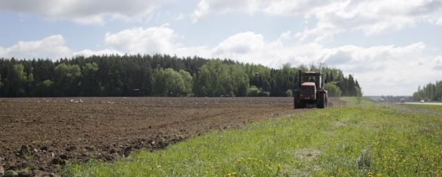 Для саратовских аграриев предусмотрены средства несвязанной поддержки