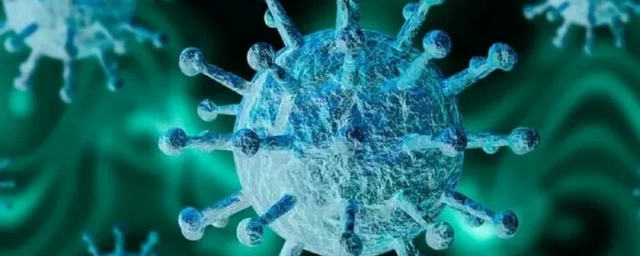 «Омикрон» приобрел одну из своих мутаций от вируса, вызывающего простуду
