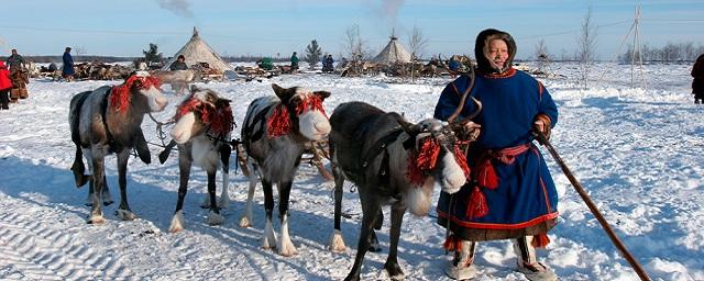 В ЯНАО оленеводов научили общаться с туристами