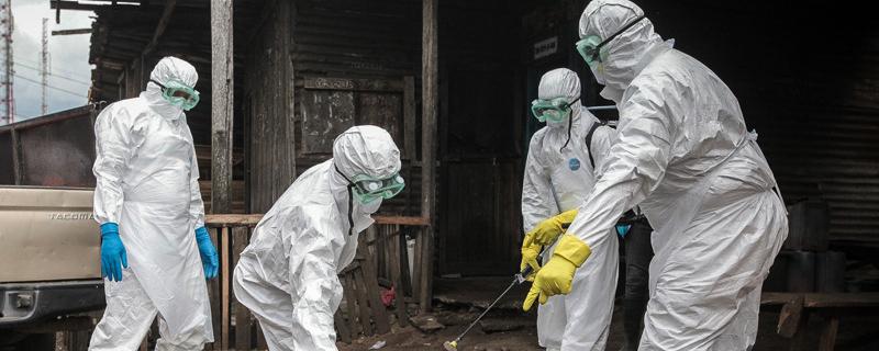 Инфекционист оценил опасность вспышки бубонной чумы в КНР и Монголии
