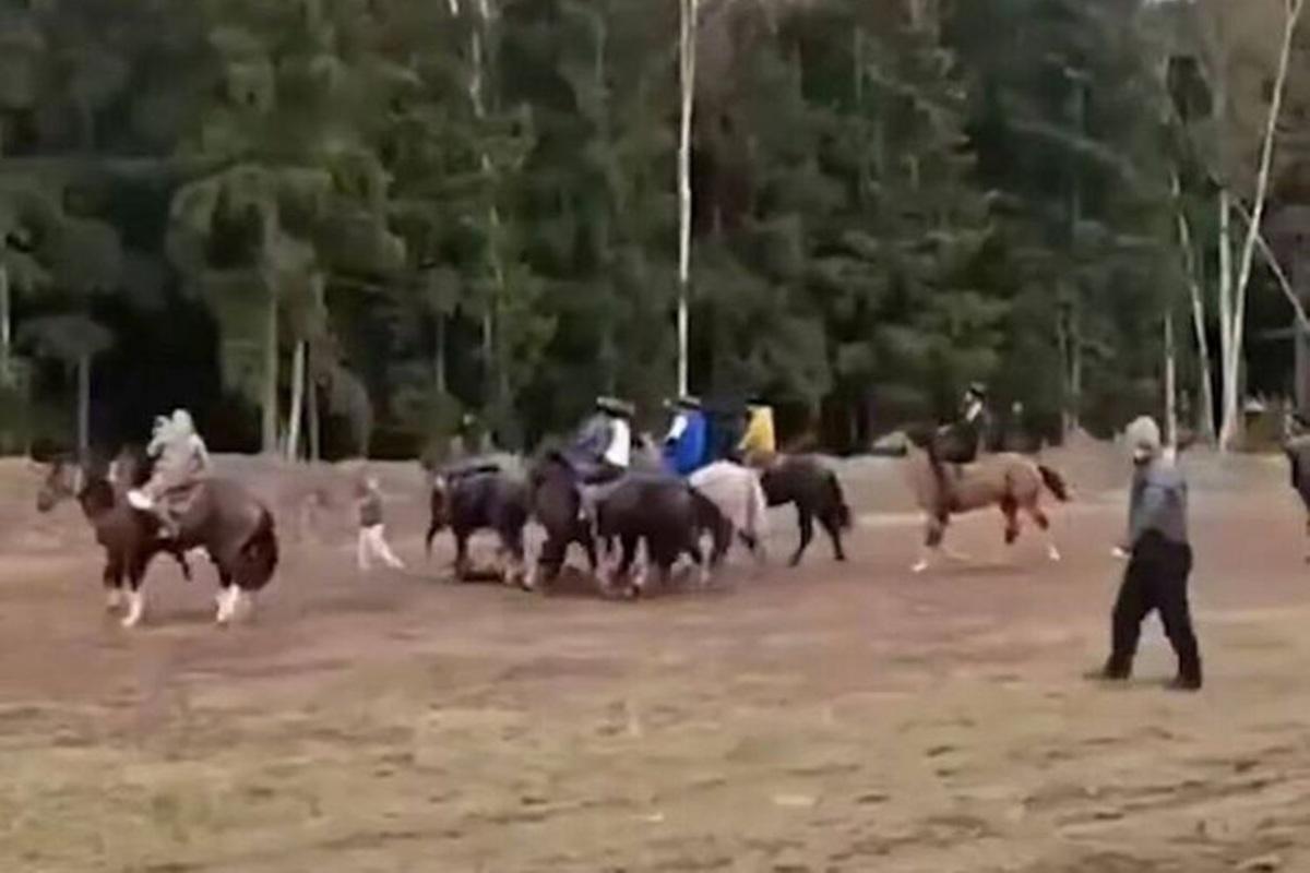 Прокурорский контроль: жители Подмосковья возмутила массовая игра мигрантов с тушей козла