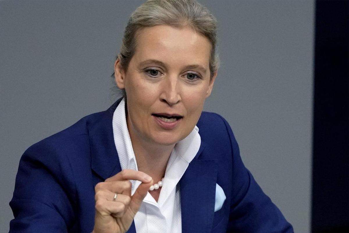 Сопредседатель АдГ заявила, что немцы не понимают, почему власти дарят Украине миллиарды