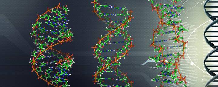 Ученые считают, что у ДНК и РНК есть более миллиона двойников
