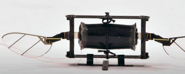 В MIT создали дронов размером с насекомое
