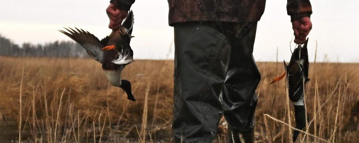 В России штраф за нарушение правил охоты могут увеличить в четыре раза