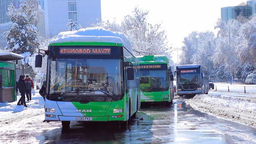 В Ташкенте на 73 улицах сделают отдельные полосы для автобусов
